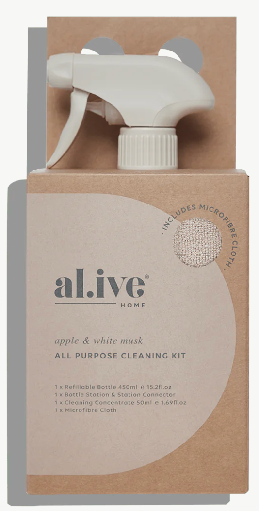 All Purpose Cleaning Kit